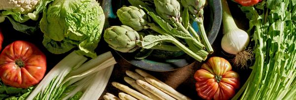 Tudela, Capital of vegetables